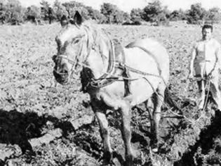 Φωτογραφία για Όταν οι χωρικοί στα χωριά της Θεσπρωτίας καλλιεργούσαν τα χωράφια!