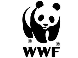 Φωτογραφία για WWF: Χαρίζεται όπως είναι, δασωμένο