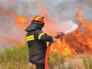 Φωτογραφία για Λασιώνα: Πυρκαγιά σε δασική έκταση σε εξέλιξη