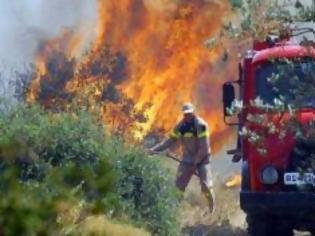 Φωτογραφία για Πλήρωσαν άσχημα Τρικαλινοί την έμπνευσή τους να κάψουν ξερόχορτα και καλαμιές