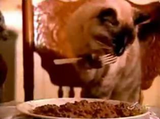 Φωτογραφία για Έμαθε στη γάτα της να τρώει με το πιρούνι [Video]