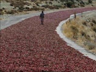 Φωτογραφία για Ένας κόκκινος δρόμος που όμοιος του δεν υπάρχει