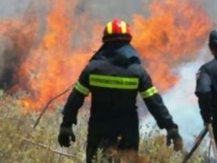Φωτογραφία για Φθιώτιδα: Καίνε καλαμιές και βάζουν φωτιές - Τρέχουν και δεν φτάνουν πάλι σήμερα οι πυροσβέστες