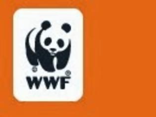 Φωτογραφία για WWF: Αναβολή συνέντευξης τύπου