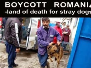 Φωτογραφία για Καταγγελία-ΣΟΚ! Ετοιμάζουν στην Ελλάδα σφαγή αδέσποτων αντίστοιχη με της Ρουμανίας