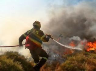 Φωτογραφία για Κρήτη: Επί ποδός η Πυροσβεστική - Οι νοτιάδες ενισχύουν τη φωτιά