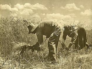 Φωτογραφία για Αυτό το χώμα δεν είναι δικό τους! Ειναι δικό μας!