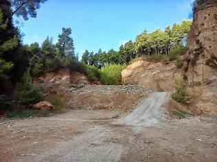 Φωτογραφία για Πρωτοφανής οικολογική κατασ﻿τροφή επιχειρείται στην Ηλεία