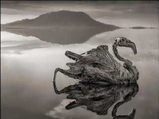 Φωτογραφία για Η λίμνη του θανάτου: Ό,τι την ακουμπάει πεθαίνει!