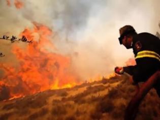 Φωτογραφία για Ηλικιωμένος βοσκός κατηγορείται για 85 φωτιές στον Ταΰγετο