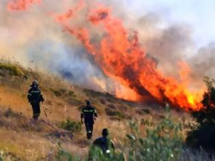 Φωτογραφία για Μεσσηνία: 68χρονος κατηγορείται για 85 πυρκαγιές!