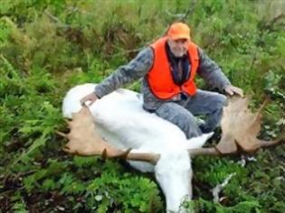 Φωτογραφία για Κυνηγοί σκότωσαν σπάνιο είδος ελαφιού