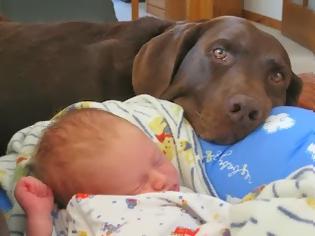 Φωτογραφία για Μωρό – Σκύλος: Η αρχή μιας υπέροχης σχέσης!