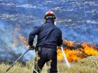 Φωτογραφία για Μείωση 56% στις καμένες εκτάσεις γης