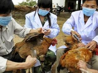 Φωτογραφία για Νέο κρούσμα γρίπης των πτηνών στην Κίνα