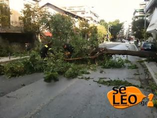 Φωτογραφία για ΤΩΡΑ: Κλειστή η Βασ. Όλγας από πτώση δέντρου!