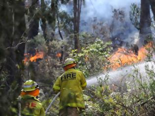 Φωτογραφία για Μεγάλες υλικές ζημιές από τις δασικές πυρκαγιές που μαίνονται κοντά στο Σίνδεϊ