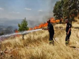 Φωτογραφία για Κρήτη: Φωτιά κοντά σε χωριό στον Αποκόρωνα σε απόσταση αναπνοής από περιουσίες και επιχειρήσεις