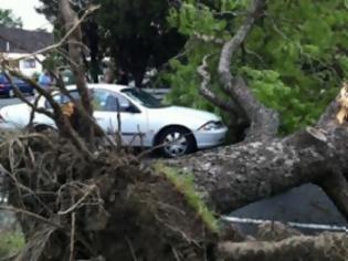 Φωτογραφία για Πάτρα: Ζημιές σε δύο αυτοκίνητα από πτώση δέντρου