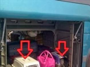 Φωτογραφία για Συνελήφθη ο οδηγός του ΚΤΕΛ που αρνήθηκε να επιβιβάσει ζώο στο λεωφορείο