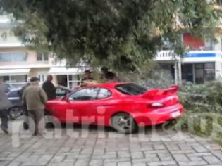 Φωτογραφία για Αμαλιάδα: Δέντρα καταπλάκωσαν αυτοκίνητα λόγω του ανέμου!