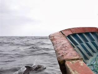 Φωτογραφία για Η σφαγή των δελφινιών: Φωτογραφίες που σοκάρουν