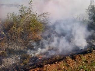 Φωτογραφία για Μεγάλη φωτιά στη Ράξα Τρικάλων