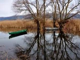 Φωτογραφία για Ως εδώ!  Στην υποβάθμιση του Περιβάλλοντος και στην υποβάθμιση της νοημοσύνης των Πολιτών