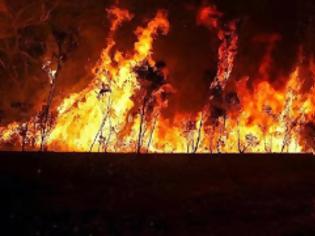 Φωτογραφία για Συνεχίζει το καταστροφικό της έργο η φωτιά στην Αυστραλία