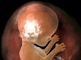 Φωτογραφία για Αναγνώστης ενημερώνει για δράση κατά των πειραμάτων σε έμβρυα
