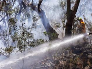 Φωτογραφία για Στρατιωτική άσκηση ίσως ευθύνεται για την πύρινη λαίλαπα στην Αυστραλία [Photos]