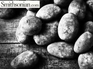 Φωτογραφία για Οκτώ τρομακτικές ιστορίες δηλητηρίασης με... πατάτες