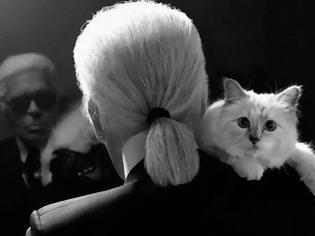 Φωτογραφία για Η γάτα του Κarl Lagerfeld έχει πια τη δική της συλλογή