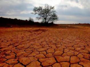 Φωτογραφία για Νιγηρία: 35 μετανάστες πέθαναν από δίψα στην έρημο