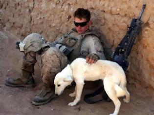 Φωτογραφία για Τέξας: Το πρώτο εθνικό μνημείο προς τιμήν του «άγνωστου στρατιωτικού σκύλου»