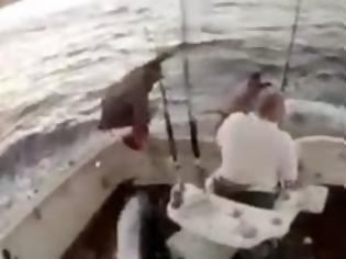 Φωτογραφία για Ψαράς βουτά στη θάλασσα για να γλιτώσει από ξιφία! [video]