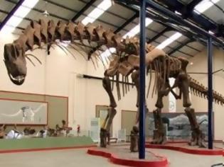 Φωτογραφία για Ο μεγαλύτερος δεινόσαυρος στον κόσμο περπατά και πάλι μετά από 94 εκατ. χρόνια [video]