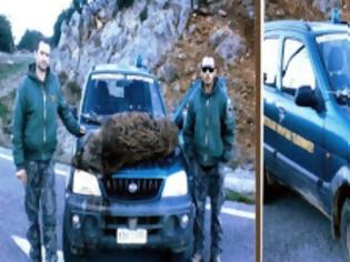 Φωτογραφία για Θηροφυλακή - Τέσσερις συλλήψεις για παράνομο κυνήγι στην Αρκαδία!