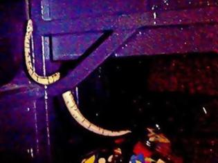 Φωτογραφία για Πάτρα: Πύθωνας σκόρπισε τον τρόμο στα ΚΤΕΛ! – Δείτε φωτο-video