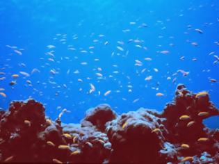 Φωτογραφία για Μέχρι τα βάθη των ωκεανών φτάνει η κλιματική αλλαγή