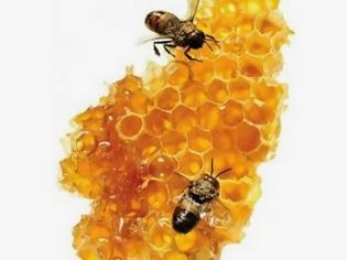 Φωτογραφία για Μέλι: Το Νέκταρ των Θεών & το «Βουλγάρικο» μέλι