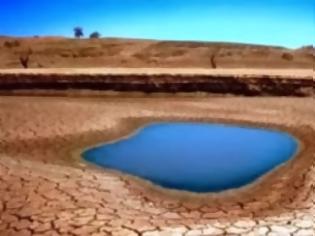 Φωτογραφία για Τι ζώα θα γεννήσει η κλιματική αλλαγή;