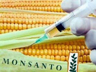 Φωτογραφία για Επελαύνει στην Ευρώπη η Monsanto