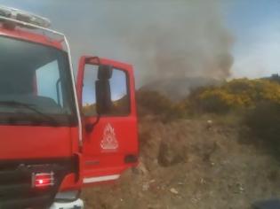 Φωτογραφία για Μεσημεριανές περιπέτειες για την Πυροσβεστική στην Κρήτη
