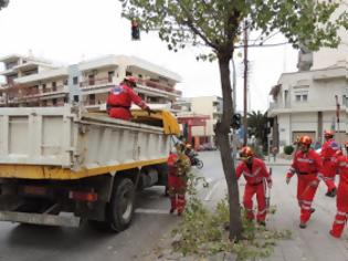 Φωτογραφία για Η Ελληνική Ομάδα Διάσωσης σε εθελοντική δράση καθαρισμού σηματοδοτών Εισερχόμενα