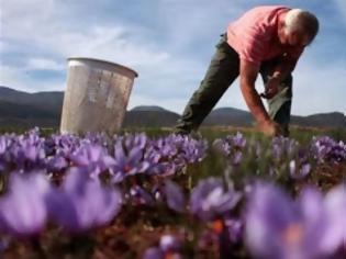 Φωτογραφία για Τσαυτάρης: Πριμ έως 20.000 ευρώ για τους νέους αγρότες