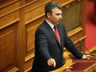 Φωτογραφία για Επίθεση σε Παπούλια από τον πρόεδρο της Νέας ΜΕΡΑΣ