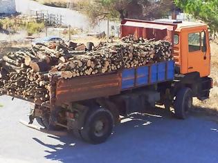 Φωτογραφία για Κρήτη: Λαθρουλοτόμοι πρόλαβαν να κόψουν 7 τόνους ξύλα πριν συλληφθούν