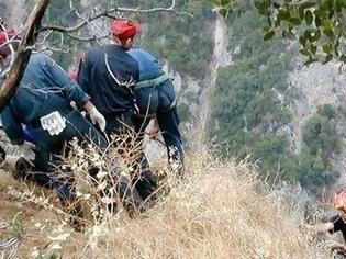 Φωτογραφία για Αχαΐα: Επιχείρηση της Πυροσβεστικής για τη διάσωση μιας… κατσίκας!