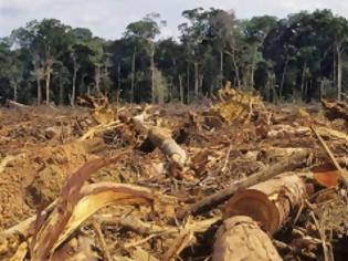 Φωτογραφία για Επιταχύνεται και πάλι η καταστροφή του Αμαζονίου